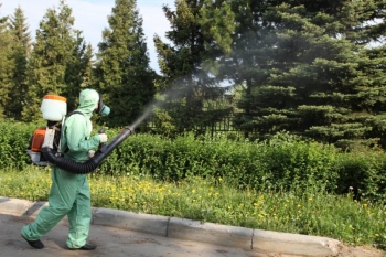 Уничтожение комаров в Хотьково